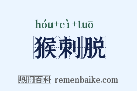 猴刺脱是什么意思的图片